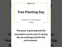 Goldstone Plastic Free Paper Cup